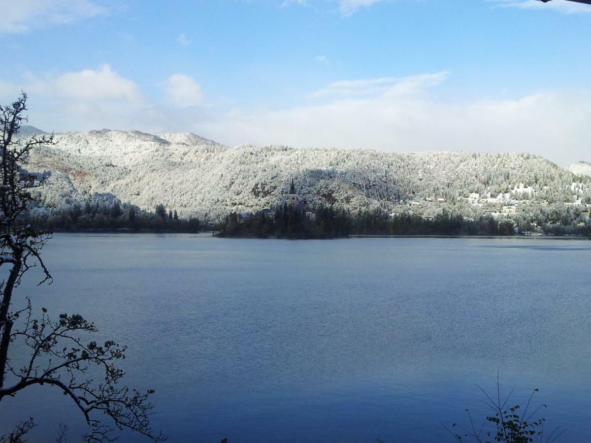 Pletna Lake View Apartment Bled Extérieur photo